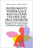 Instrumenty wspierające kształcenie ustawiczne pracowników
