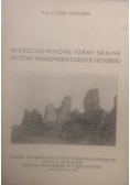 Wierzchowinowe formy skalne wyżyny Krakowsko Częstochowskiej