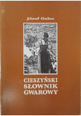 Cieszyński słownik gwarowy