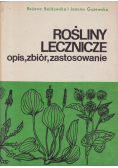 Rośliny lecznicze opis zbiór zastosowanie