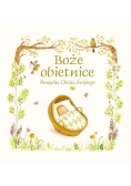 Boże obietnice. Pamiątka Chrztu Świętego