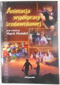 Animacja współpracy środowiskowej