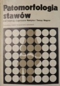 Patomorfologia stawów