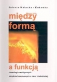 Między formą a funkcją