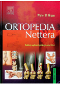 Ortopedia Nettera