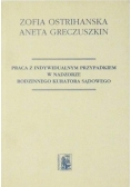 Praca z indywidualnym przypadkiem w nadzorze rodzinnego kuratora sądowego