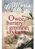 Owce barany i gminne szykany