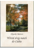 Wśród dróg moich do Ciebie