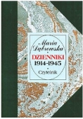 Dzienniki 1914  1945  Tom I