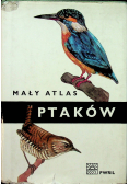 Mały atlas ptaków