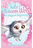 The Owls of Blossom Wood: A Magical Beginning