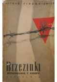 Brzezinki wspomnienia z obozu