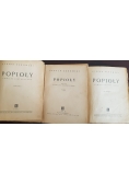 Popioły, 3 tomy