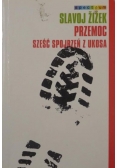 Przemoc. Sześć spojrzeń z ukosa