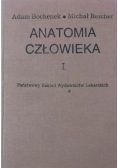 Anatomia człowieka I