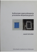 Kulturowe uwarunkowania procesów aktywizacyjnych i jego rozpowszechnienie