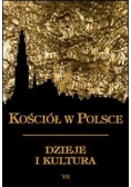Kościół w Polsce,  dzieje i kultura VII