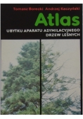 Atlas ubytku aparatu asymilacyjnego drzew leśnych