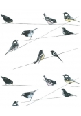 Karnet 17x14cm z kopertą Garden Birds wallpaper