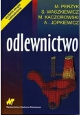 Odlewnictwo