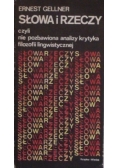 Słowa i rzeczy czyli nie pozbawiona analizy krytyka filozofii lingwistycznej