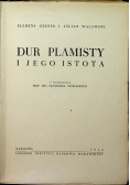 Dur Plamisty i jego istota 1946 r.