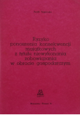 Ryzyko ponoszenia konsekwencji majątkowych z tytułu niewykonania zobowiązania w obrocie gospodarczym