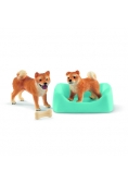 Shiba Inu matka i szczenięta