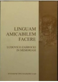Linguam Amicabilem Facere