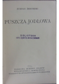 Puszcza jodłowa, 1926 r.