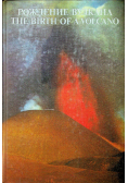 The Birth of a Volcano