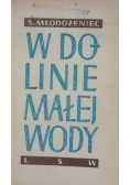 W dolinie małej wody