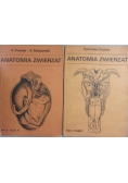 Anatomia zwierząt, Tom 1 i 2