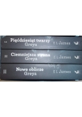 Pięćdziesiąt twarzy Greya, tom od I do III