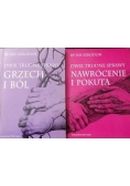 Dwie trudne sprawy. Nawrócenie i pokuta/ Dwie trudne sprawy. Grzech i ból