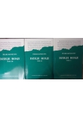 Dzieje Rosji I-III