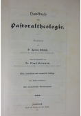 Handbuch. Pastoraltheologie, 1899 r.