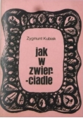 Jak w zwierciadle