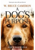 A Dog's Purpose