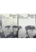 Dziennik pisarza ,Tom I,II