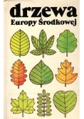 Drzewa Europy Środkowej
