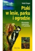 Ptaki w lesie parku i ogrodzie