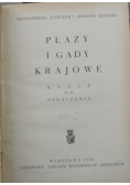 Płazy i gady krajowe klucz do oznaczania 1950 r.