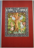 Ukochane dziecię świata 1930 r.