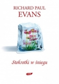 Stokrotki w  śniegu