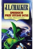 Zmierzch przy studni dusz