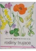 Rośliny Trujące
