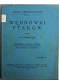 Wędrówki ptaków 1929