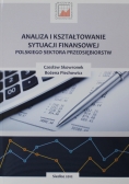 Analiza i kształtowanie sytuacji finansowej