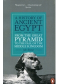 A History of Ancient Egypt Volume 2